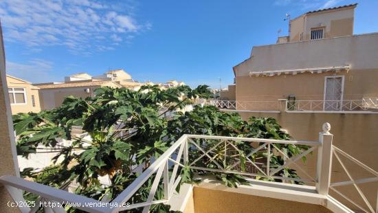 Bungalow con solárium privado y piscina en Torrevieja - ALICANTE