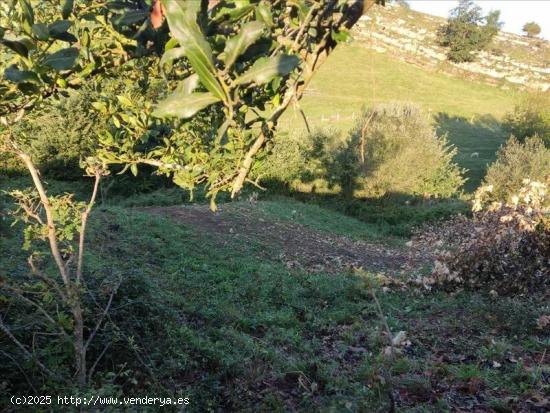 TERRENO EN REOCÍN - CANTABRIA