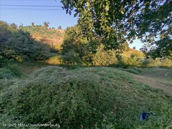 TERRENO EN REOCÍN - CANTABRIA