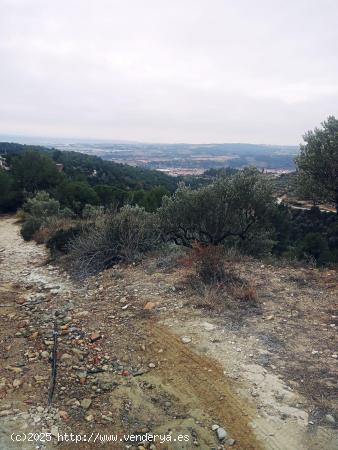  terreno Agrario - BARCELONA 