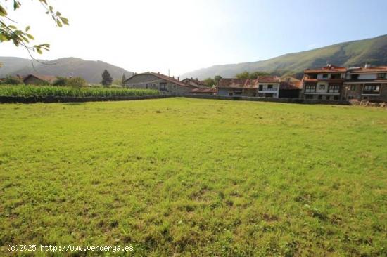 UNA FINCA PARA REALIZAR TU SUEÑO - CANTABRIA