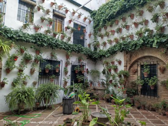 ¡¡¡ Preciosa casa enorme con patio cordobés !!! - CORDOBA