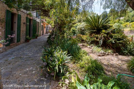 Finca Rústica con cédula en Sóller. - BALEARES