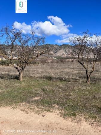 TERRENO RUSTICO EN PADUL - GRANADA