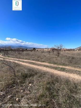 TERRENO RUSTICO EN PADUL - GRANADA