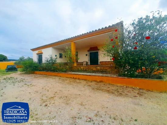 ARCOS DE LA FRONTERA, FINCA RÚSTICA DE 5.685M², 2 CHALETS, BOXES Y ESTABLOS PARA CABALLOS - CADIZ