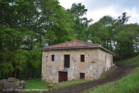  Venta de cabaña en Villacarriedo - CANTABRIA 