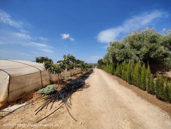 Finca de regadio con pozos - CASTELLON