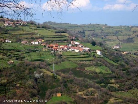 OPORTUNIDAD PARA REFORMAR!!!! CASA DE PUEBLO EN BUSLOÑE - ASTURIAS