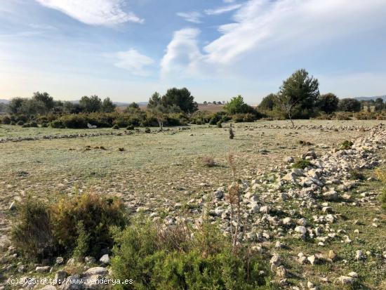 TERRENO EN ELS ARQUETS-SANT JAUME DEL DOMENYS - TARRAGONA