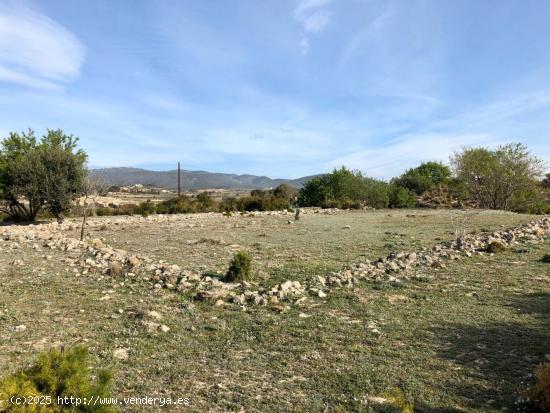 TERRENO EN ELS ARQUETS-SANT JAUME DEL DOMENYS - TARRAGONA