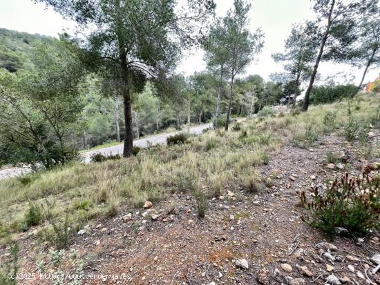 TERRENO EN EL PRIORAT DE LA BISBAL - TARRAGONA