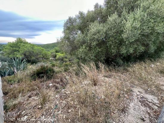 GRAN TERRENO CON VISTAS!!! - TARRAGONA