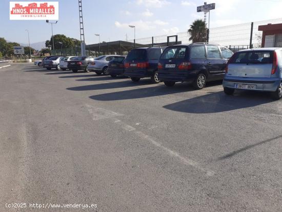  SE ALQUILA CAMPA ZONA GRANJA ROCAMORA CON 60 MTROS DE OFICINAS - ALICANTE 