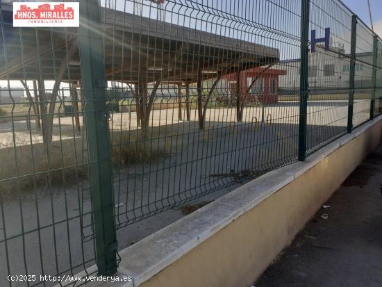 SE ALQUILA CAMPA ZONA GRANJA ROCAMORA CON 60 MTROS DE OFICINAS - ALICANTE