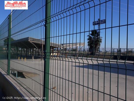 SE ALQUILA CAMPA ZONA GRANJA ROCAMORA CON 60 MTROS DE OFICINAS - ALICANTE