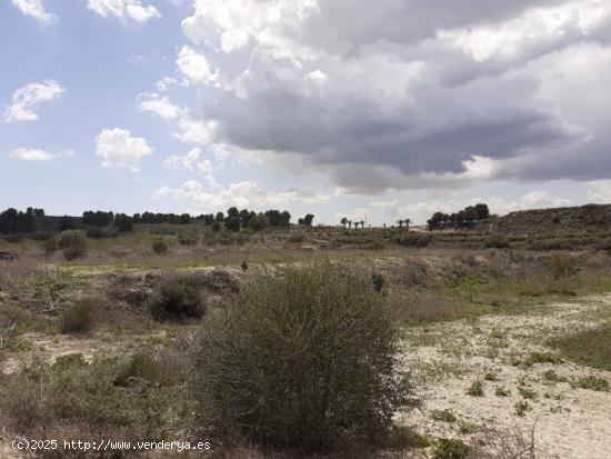 FINCA RUSTICA EN TORREMENDO - ALICANTE