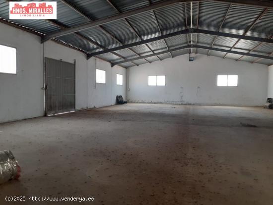 SE VENDE NAVE CON PARCELA DE 8000M EN ZONA RUSTICA DE CREVILLENTE - ALICANTE