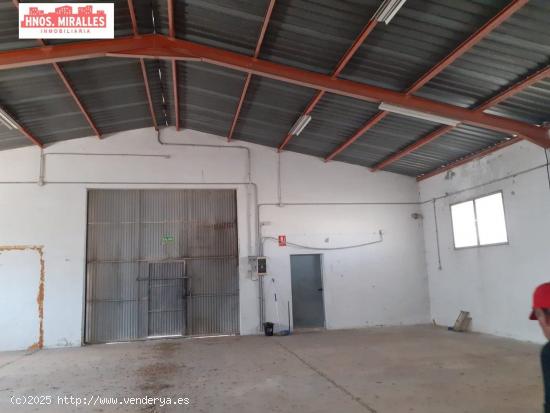 SE VENDE NAVE CON PARCELA DE 8000M EN ZONA RUSTICA DE CREVILLENTE - ALICANTE