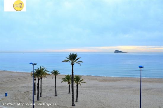  SE VENDE PISO DE TRES DORMITORIOS EN PRIMERA LINEA DE PLAYA PONIENTE SEVEND GROUP .ES - ALICANTE 