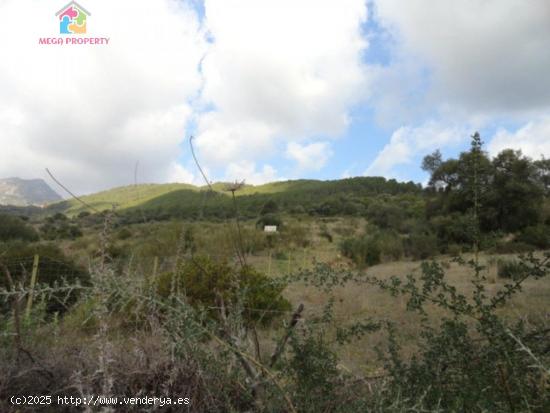 Se Vende Finca Rústica en Gaucín - MALAGA