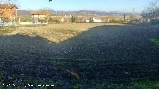 finca urbanizable en mendijur centro - ALAVA