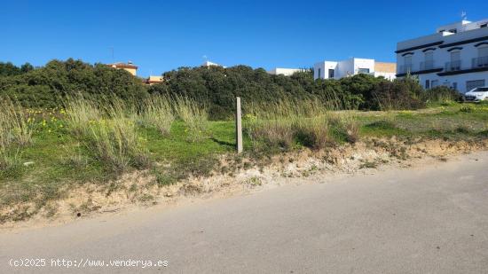 PARCELA SEGREGADA JUNTO AL CASCO URBANO. - CADIZ