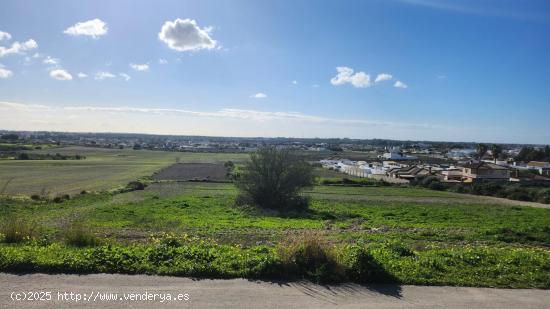 PARCELA SEGREGADA JUNTO AL CASCO URBANO. - CADIZ