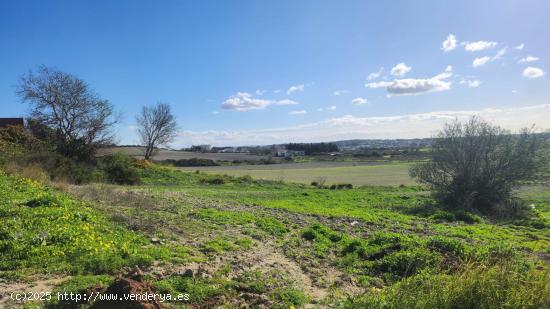 PARCELA SEGREGADA JUNTO AL CASCO URBANO. - CADIZ