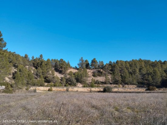 Finca en venta en Torre del Compte (Teruel)