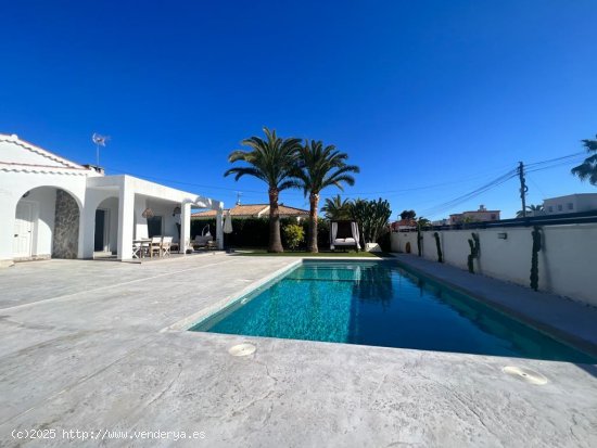 Villa en alquiler en Torrevieja (Alicante)