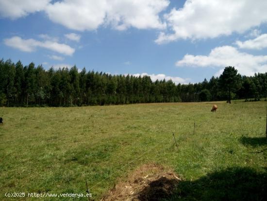  SE VENDE TERRENO EDIFICABLE EN CHAIAN, SANTIAGO - A CORUÑA 