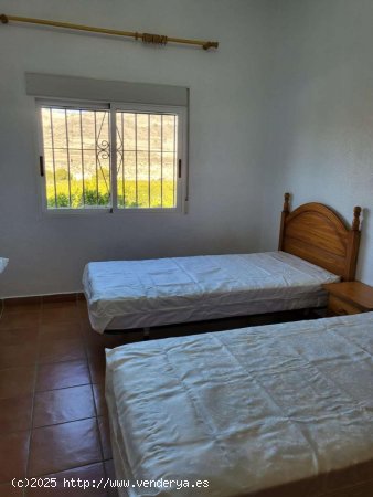  Chalet en alquiler en Mula (Murcia) 