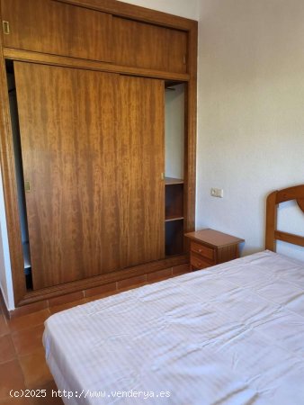 Chalet en alquiler en Mula (Murcia)