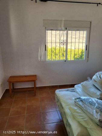 Chalet en alquiler en Mula (Murcia)