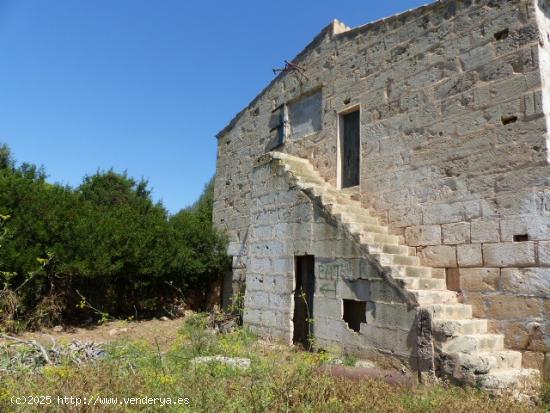  Finca Rustica  ideal para Agroturismo con dos pozos de agua en Palma - BALEARES 