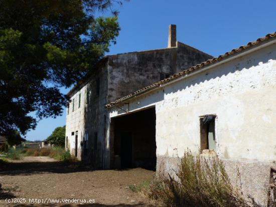 Finca Rustica  ideal para Agroturismo con dos pozos de agua en Palma - BALEARES