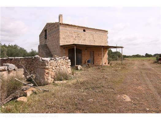 GRAN FINCA  RUSTICA  EN CABO BLANCO - BALEARES