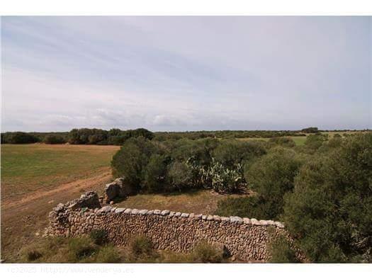 GRAN FINCA  RUSTICA  EN CABO BLANCO - BALEARES