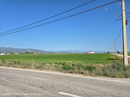 FINCA DE ARROZ EN L'ENCANYISSADA - TARRAGONA