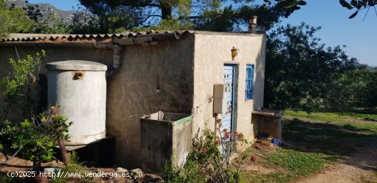  FINCA DE 3 HECTAREAS CON ALMACEN DE 24 M2, LUZ Y AGUA - TARRAGONA 