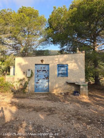 FINCA DE 3 HECTAREAS CON ALMACEN DE 24 M2, LUZ Y AGUA - TARRAGONA