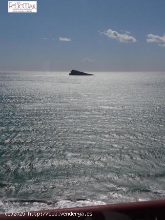 BENIDORM - ALQUILER EN 1ª LINEA PLAYA DE LEVANTE - ALICANTE