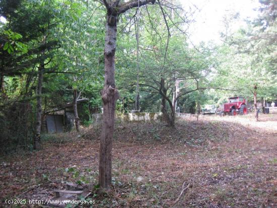 FINCA EN ELCANO A 10KMTS DE PAMPLONA - NAVARRA