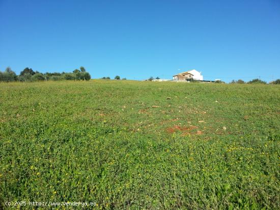 Se vende Finca (Suelo Urbanizable Sectorizado incluida en el PGOU) en Almodóvar del Río, Córdoba 