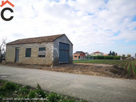 Se vende terreno rustico con cuarto de aperos en la huerta de Santa Cruz. - MURCIA