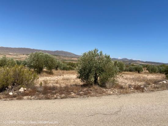 Parcela rústica en Jimena, Jumilla - MURCIA