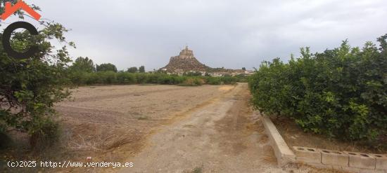 Se vende parcela rustica en Monteagudo. - MURCIA