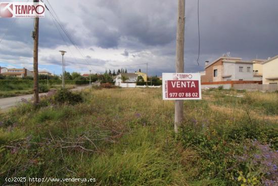 Terreno en el Priorat de Banyeres - TARRAGONA