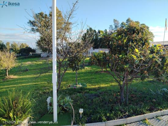  VENTA DE FINCA EN GIBRALEON, HUELVA - HUELVA 